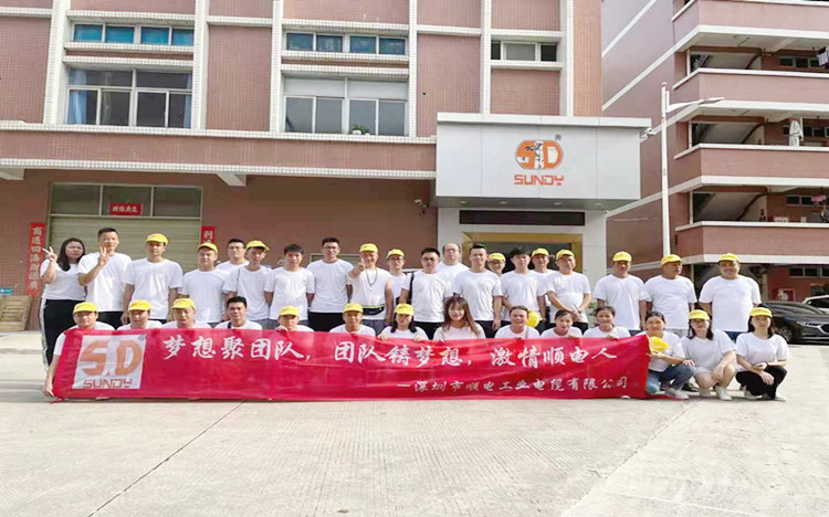 “夢(mèng)想聚團(tuán)隊(duì)，團(tuán)隊(duì)鑄夢(mèng)想”順電2021年旅游圓滿結(jié)束